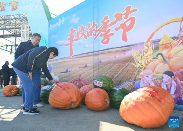 7th Chinese Farmers' Harvest Festival Celebrated Across China