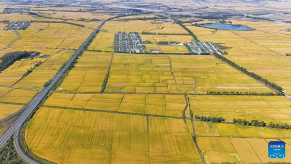 7th Chinese Farmers' Harvest Festival Celebrated Across China
