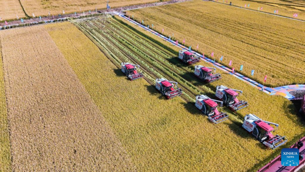 7th Chinese Farmers' Harvest Festival Celebrated Across China