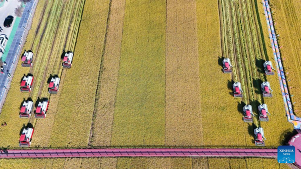 7th Chinese Farmers' Harvest Festival Celebrated Across China