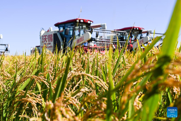 7th Chinese Farmers' Harvest Festival Celebrated Across China