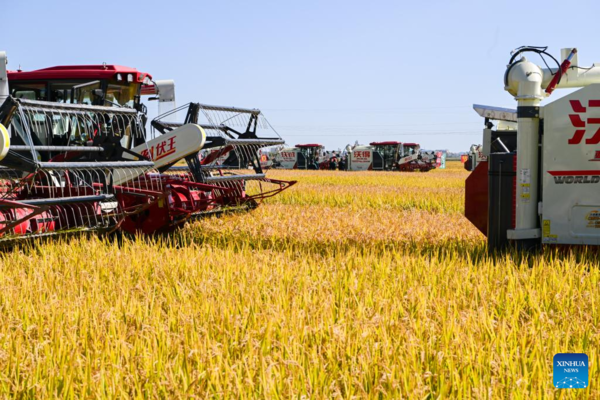 7th Chinese Farmers' Harvest Festival Celebrated Across China