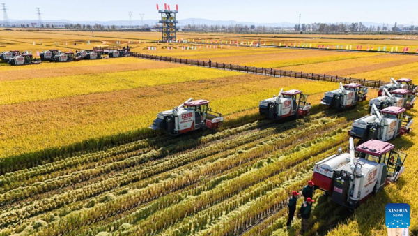 7th Chinese Farmers' Harvest Festival Celebrated Across China