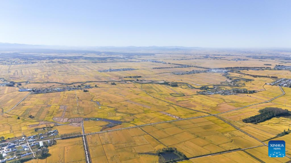 7th Chinese Farmers' Harvest Festival Celebrated Across China