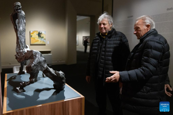 Hungary Exhibits Chinese Xieyi Art to Mark 75th Diplomatic Ties