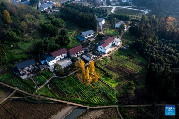 Chongqing's Tianfu Town Transforms Rural Houses into Thriving Homestays