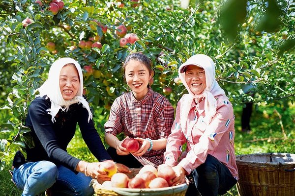 Growing Apples Helping Woman Revitalize Rural Hometown