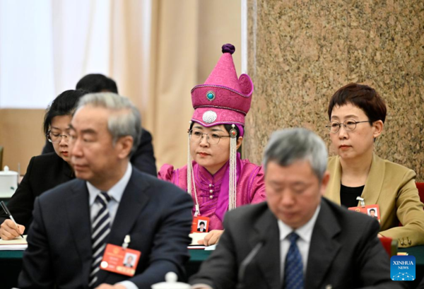NPC Delegations Hold Meetings to Deliberate Government Work Report