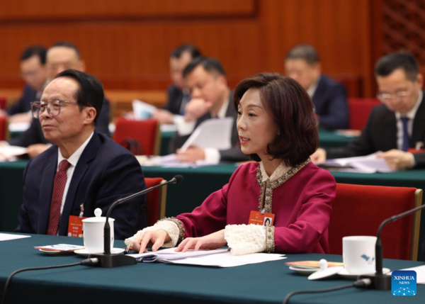 NPC Delegations Hold Meetings to Deliberate Government Work Report