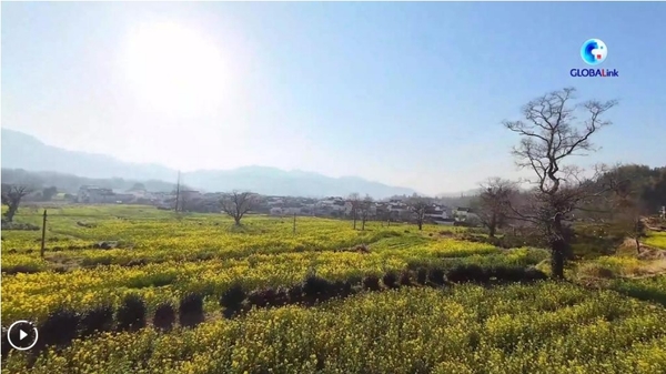 FPV Drone Tour: Visit Charming Hongcun Town in E China's Anhui