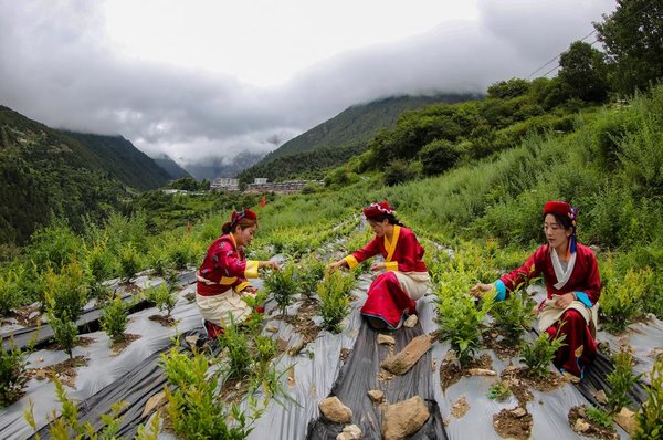 White Paper Highlights Historic Human Rights Progress in Xizang
