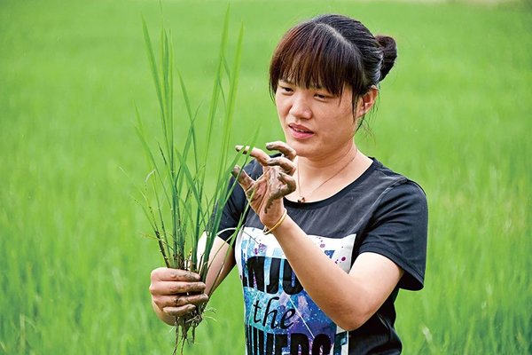 Beautiful New Farmers | Young Agricultural Machine Operator Realizes Dream in Fields