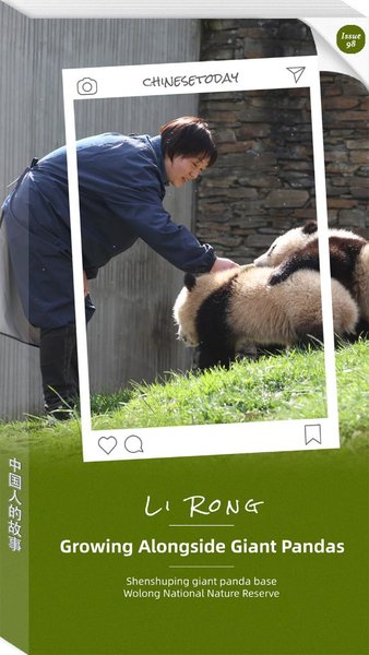 A Keeper Grows Alongside Giant Pandas
