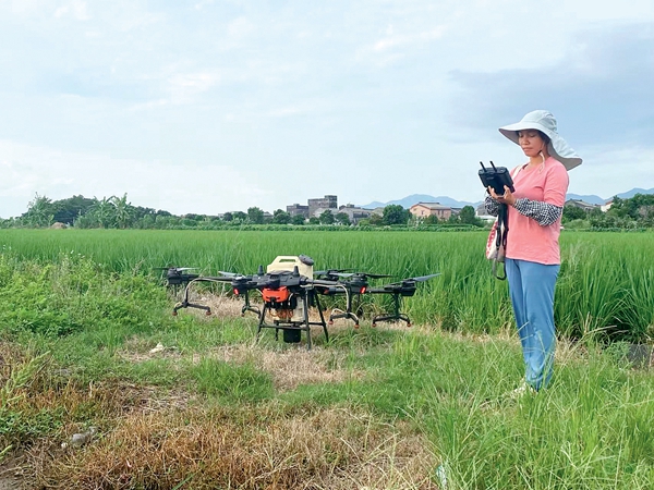 Most Beautiful Farmers | Pursuing Sweet, Solid Dream in Rice Fields
