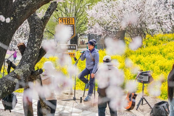 Nyingchi in SW China's Xizang Boosts Tourism with Flower Viewing