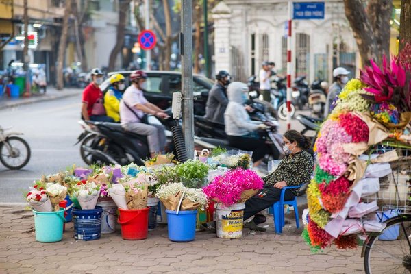 Yunnan Flower Fragrance Spreads in Vietnam