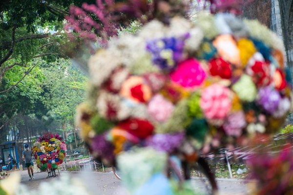 Yunnan Flower Fragrance Spreads in Vietnam