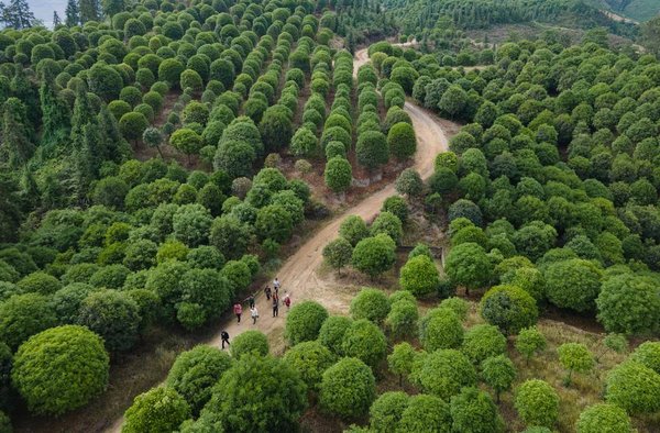 China Unveils Draft of Its First-Ever Environmental Code