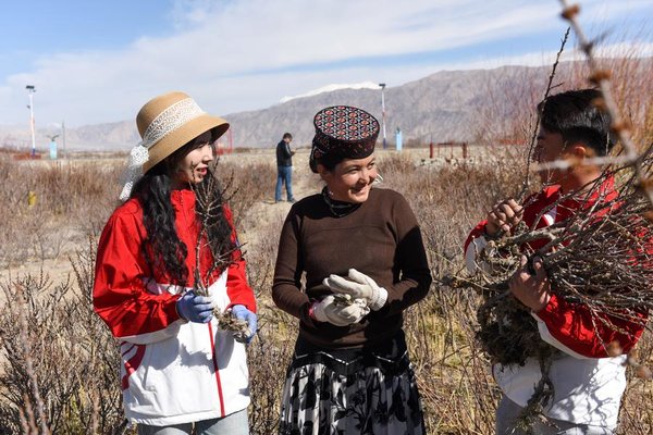 China's Vast Northwest Inspires a New Generation