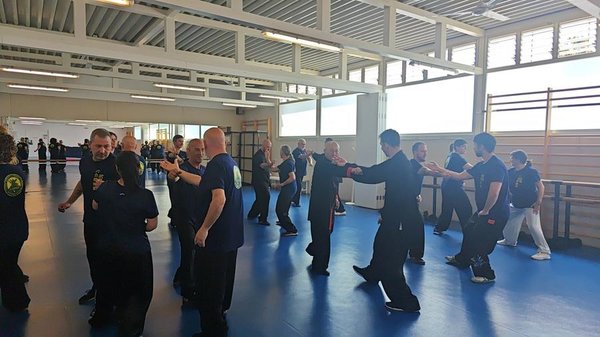 From Shandong to Spain: Chinese Martial Arts Inspire Cross-Cultural Exchange
