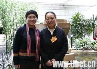 Lei Jufang Talks about Development of Tibetan Medicine